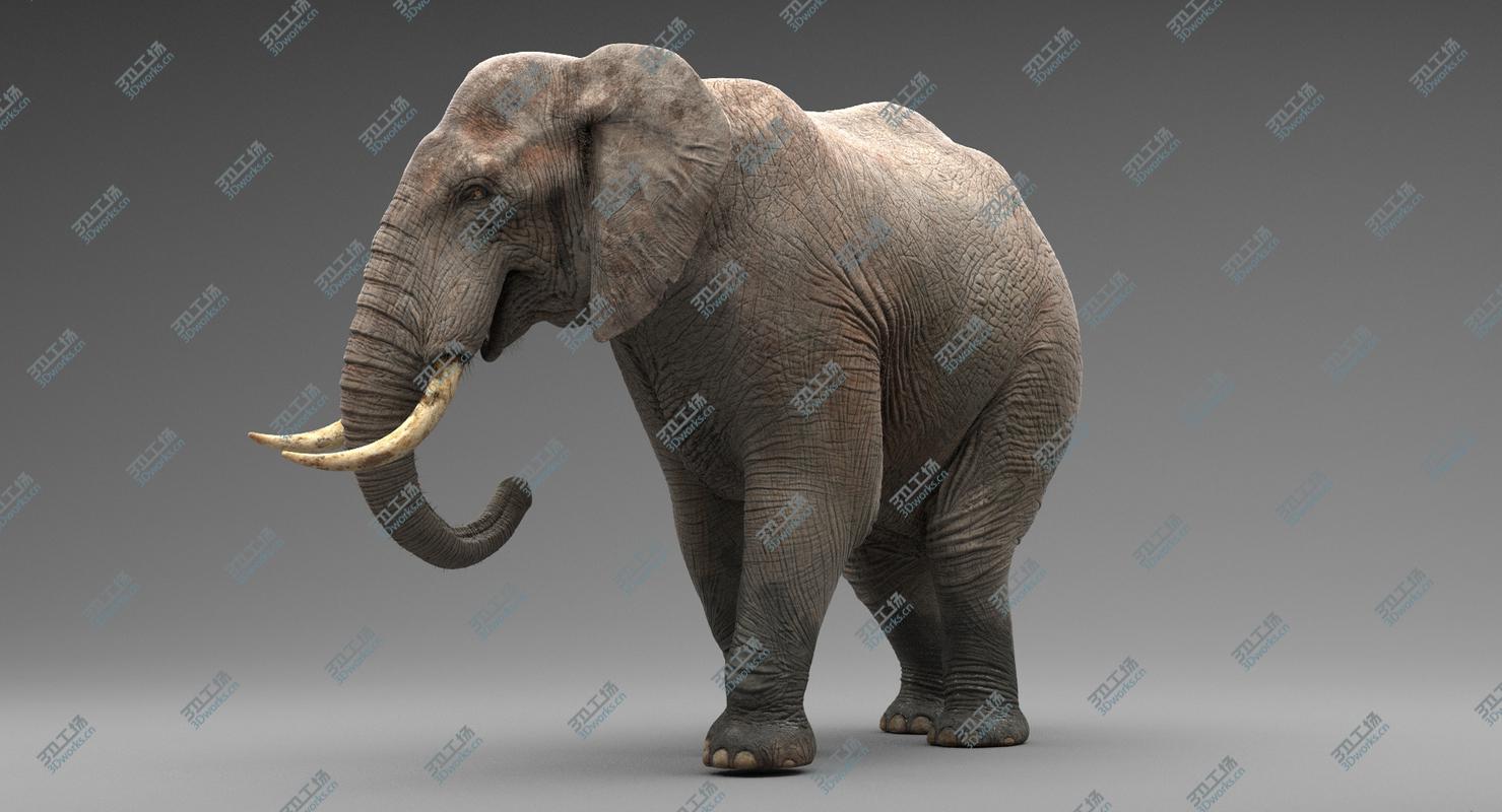 images/goods_img/20210113/Elephant Rigged/4.jpg